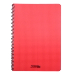 Dik Geruit schrift met spiralen A4 120Blz Plastic Kafft-529327