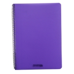 Dik Geruit schrift met spiralen A4 120Blz Plastic Kafft-529328