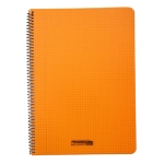 Dik Geruit schrift met spiralen A4 120Blz Plastic Kafft-529330