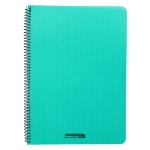 Dik Geruit schrift met spiralen A4 120Blz Plastic Kafft-529332