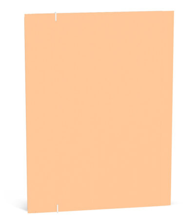 ELASTOMAP FOLIO ABRICOT CRUSH "QC COLOUR" LANN#553447-467917