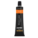 AQUARELVERF "POINTER" 12X12ML ARG#WCP-2298-517941