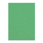 OMSLAGEN CARDBOARD GROEN A4 230GR PK/100 CNTR#91486-528353