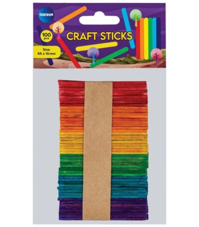CRAFT STOKJES 65X100MM GEKLEURD PK/100 CNTR#81180-0